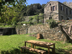 Maison de charme Corse sauvage